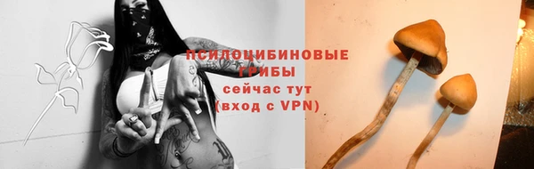молекула духа Дмитров